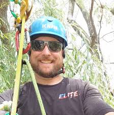 Thank you to Shane and Sunset Tree Care, beautiful day to put some trees  down.