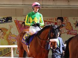日本ダービーなど有観客で開催 2021/5/10 21:00 (2021/5/10 21:03 更新) 日本中央競馬会（jra）は10日、15日以降の東京競馬について、事前にインターネット. ç„¡è¦³å®¢ç«¶é¦¬ ã‚³ãƒ­ãƒŠã‚¦ã‚¤ãƒ«ã‚¹ ã«é–¢ã™ã‚‹ãƒ‹ãƒ¥ãƒ¼ã‚¹ æœ€æ–°æƒ…å ± æœ€æ–°ç«¶é¦¬ã¾ã¨ã‚ Netkeiba Com