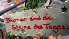 Die besten witze über blumen. Meine Grune Leidenschaft Spruche Spruche Garten Garten Zitate Blumen Zitate