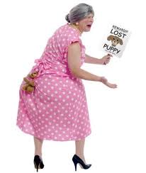 Halloween Costume Ideas For Seniors Cool Halloween Costumes Puppy Halloween Costumes Funny Halloween Costumes