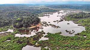 Maybe you would like to learn more about one of these? Flora Fauna Tapak Ramsar Kini Terancam