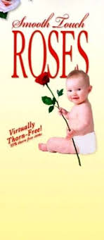 We did not find results for: Rose Senza Spine Scopri Le Rose Morbide Al Tatto It Haenselblatt Com