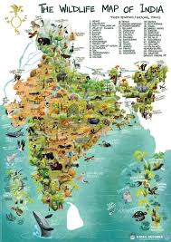 On va en inde du sud pour son tourisme balnéaire des plages de goa par exemple ou pour les jungles urbaines de bombay et de bangalore. La Faune De La Carte De L Inde L Inde De La Faune De La Carte Asie Du Sud Asie