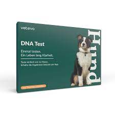 Gentest Hund Auf 175 Genetische Erbkrankheiten
