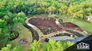 Turning Your Backyard Into A Food Forest In 2020 Food Forest Design Food Forest Garden Food Forest