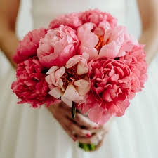 We did not find results for: The 10 Most Popular Flowers For Weddings