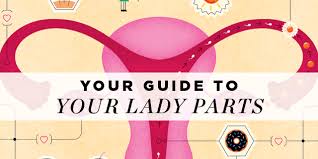 We did not find results for: Your Guide To Your Lady Parts