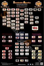 Clown Fish Breeding Chart Clown Fish Fish Breeding Saltwater Fish Tanks