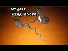 Cara Membuat Origami King Kobra Youtube