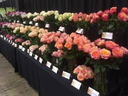 Maybe you would like to learn more about one of these? Delaware Valley Floral Group Opens Cranberry Pa Distribution Center Dvflora