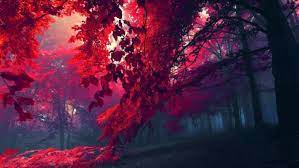 Live wallpapers are the hottest category of wallpaper these days. Lo Fi Wallpaper 4k 1920x1080 Wallpaper Teahub Io