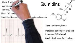 Image result for Quinidine
