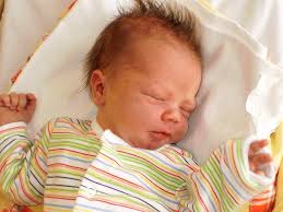 Právě jsme se narodili