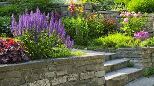 Interested in becoming a master gardener? About Tropical Oasis Landscaping Jacksonville St Augustine And Green Cove Springs Landscaping
