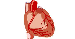 It's actually very easy if you've seen every movie (but you probably haven't). 13 Facts About Heart Trivia About Heart Info