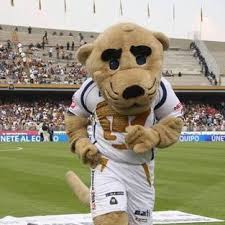 instiˈtuto poliˈtekniko nasjoˈnal ()), abbreviated ipn, is one of the largest public universities in mexico with 171,581 students at the high school, undergraduate and postgraduate levels. Goyo Pumas Goyopumas Twitter