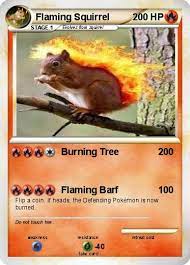 Pokemon Flaming Squirrel