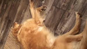 Barbara was born on may 31st in vancouver, british columbia, usa. I Am Missing All My Coworkers Right Barbara Lee Edwards