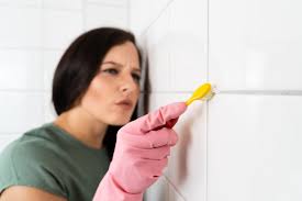 For the real situation, every cleaner product always making some offers, for the direct solution for you unclean environment. 5 Best Grout Cleaners For Kitchen And Bathroom Tile Bob Vila