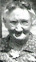 Lucelia Kathleen “Bridget” Houlihan Van Note (1868-1946)