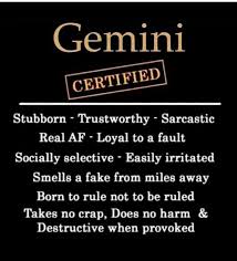 I Don T Do Astrology But This Is Accurate Af Gemini Personality Gemini Traits Gemini Life