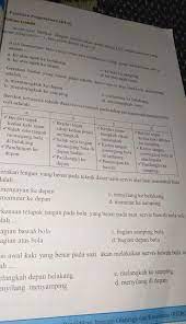 We did not find results for: Pendidikan Jasmani Olahraga Dan Kesehatan Kelas 8 Halaman 233 Siswapelajar Com