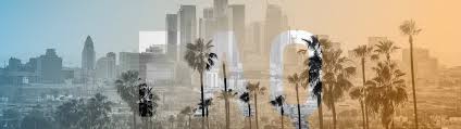 Business Tax Information Faq Los Angeles Office Of Finance
