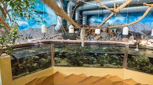 Taxiboote oberer, mittlerer, unterer lago taxi boat del lago Hofer Zoo Und Hochschule Hof Unterstutzen Homeschooling Der Neue Wiesentbote