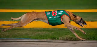 Eastern standard time and brisbane australia time converter calculator, eastern standard time and brisbane time conversion table. Sensational Field For Superstayers