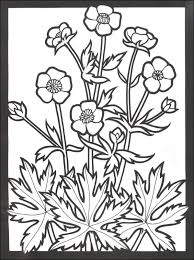 See more ideas about coloring pages, flower coloring pages, coloring books. Wildflowers Stained Glass Coloring Book Creative Haven Dover Publications 9780486796017