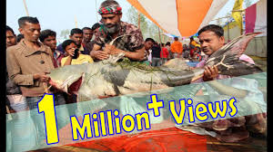 Image result for prothom alo