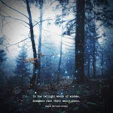 In The Twilight Woods Of Wishes Dreamers Rest Their Weary Souls Angie Weiland Crosby Quotes Soulful Dreamer Quotes Inspiration Weary Soul Dreamer Quotes