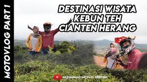 Check spelling or type a new query. Jalan Menuju Wisata Kebun Teh Cianten Herang Leuwiliang Bogor Youtube