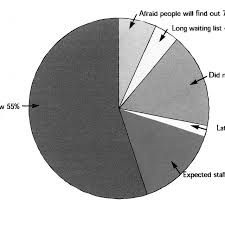 Pie Chart Of Reasons Why Women In Gauteng Province In South