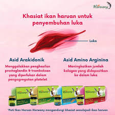 Pati ikan pati ikan ini diambil dari ikan haruan atau sering disebut ikan gabus yang memiliki kadar albumin yang sangat tinggi sehingga dapat mempercepat proses penyembuhan. Harwany Pati Ikan Haruan Asli 75ml X 6bottle