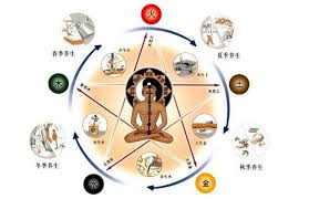 春夏秋冬怎麼吃才健康？要養身，要長壽請看四季養身食譜 ...