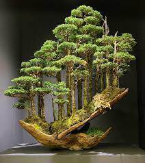 There are two types of pruning: Bonsai Tree Sold For 16 000 In Japan Beamazed