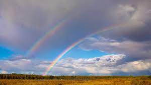 Regenbogen m (genitive regenbogens, plural regenbögen or regenbogen). Wie Entsteht Ein Doppelter Regenbogen Swr Wissen