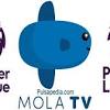 Explore more searches like mola tv logo. 1
