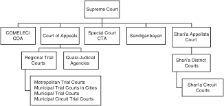 Courts In Fast Developing Economies Part Ii Asian Courts