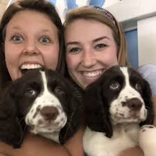 Lauren Wellborn and Cameron Massey's Wedding Website