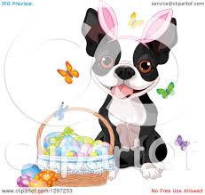 Easter is observed in a number of ways. Cute Animal Clipart Of An Adorable Boston Terrier Dog Wearing Bunny Ears And Sitting By A Basket Of Easter Eggs And Butterflies Royalty Free Vector Illustration By Pushkin 1297253