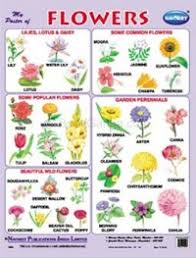 Flowers Name In Marathi Chart Best Flower Site