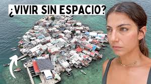 Ramón: el árbol de la selva maya que es un tesoro nutricional