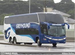 Greyhound Africa Do Sul Autobus Rufino