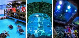 Rumah yang terletak di bandar hilir, melaka ini juga memiliki kolam renang dan bilik rekreasi yang lengkap dengan piano dan permainan carrom. 57 Tempat Menarik Di Melaka Edisi 2021 Popular Panduan Bercuti