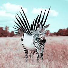 These unusual animals illustrate that nature has a far more colorful and diverse color palette than you. Photoshopped Animals Animals
