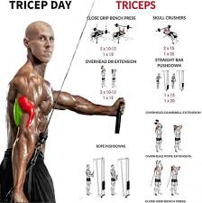 Pin On Sport And Exercise