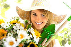 Stanmore Landscape Gardeners