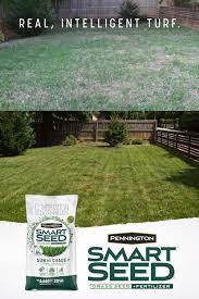 Pennington Smart Seed Sun And Shade Video In 2021 Grass Seed For Shade Diy Backyard Landscaping Diy Lawn